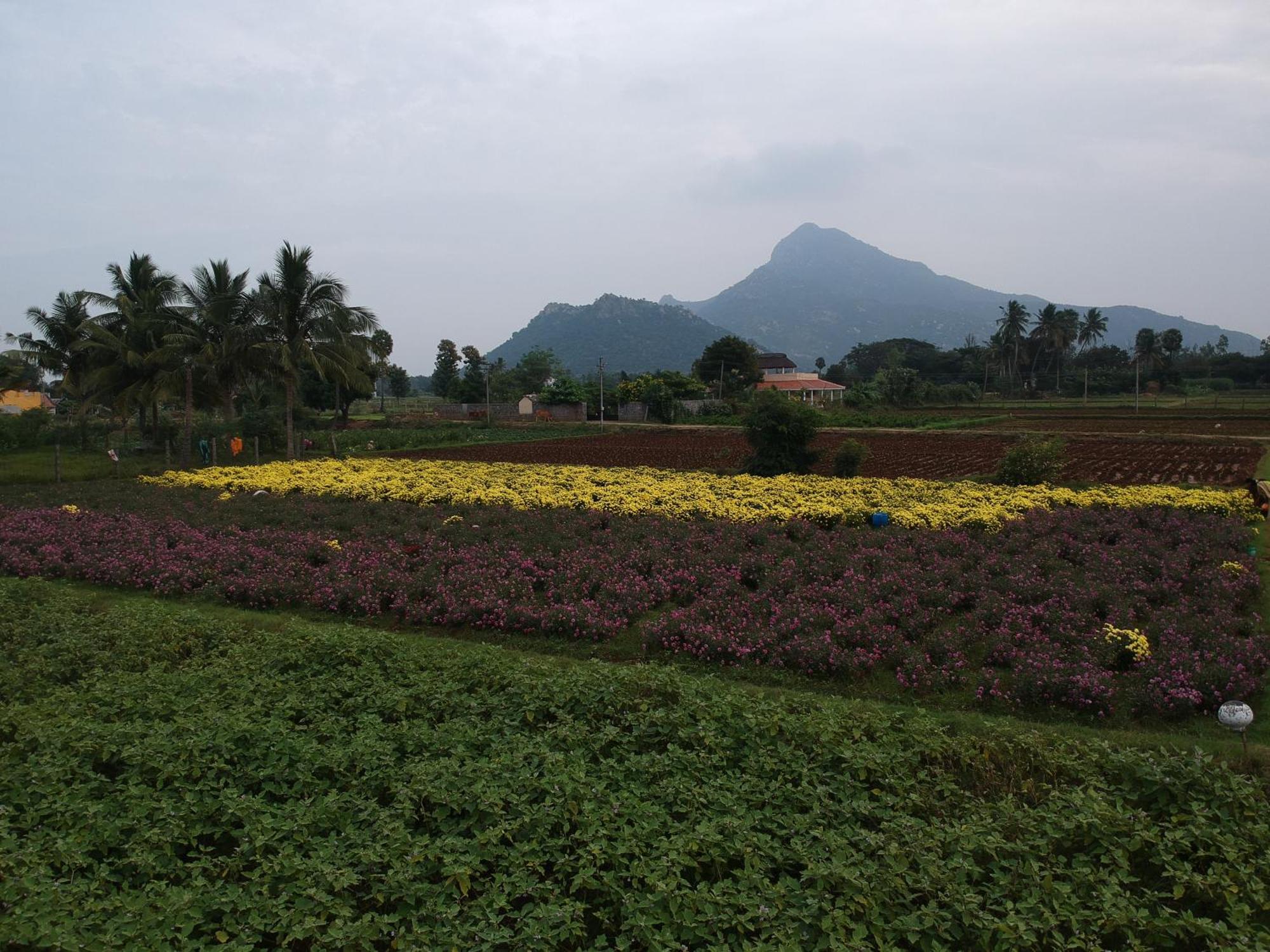 Rpm Home Stay Tiruvannamalai Exterior photo